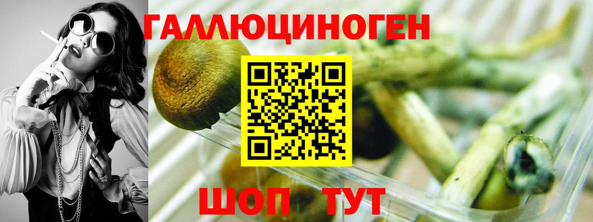 цена   Галлюциногенные грибы Cubensis  Вход с VPN  Дубна 