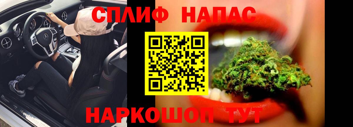 Каннабис планчик  Вход с VPN  Дубна  Каннабис тримм  Бошки марихуана конопля 